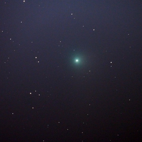 カタリナ彗星(都下／30.5cmF4)