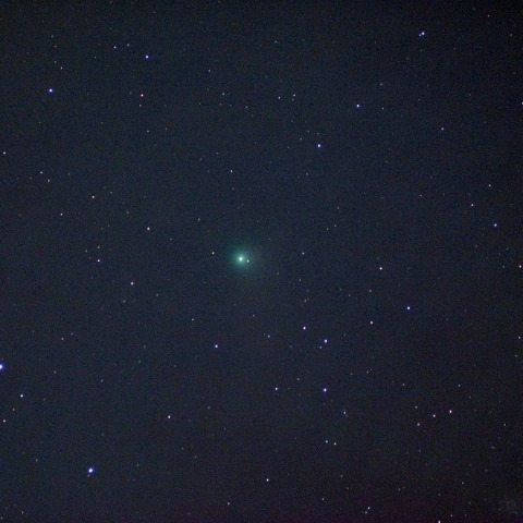 カタリナ彗星(都下／10cmED_F4)