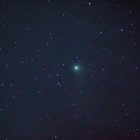 カタリナ彗星(都下／10cmED_F4)