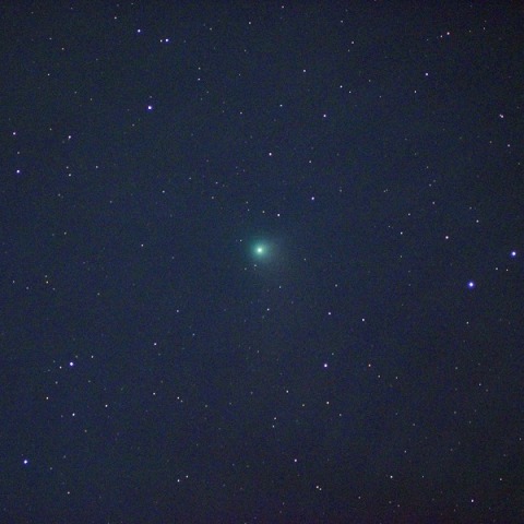 カタリナ彗星(都下／10cmED_F4)