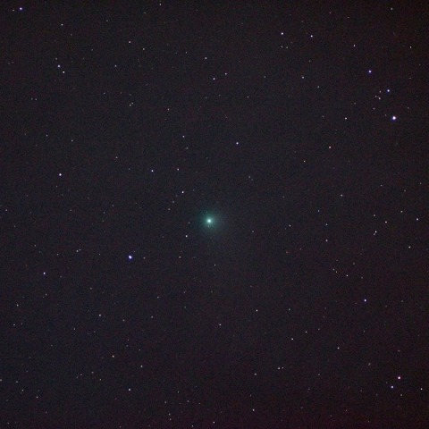 カタリナ彗星(都下／10cmED_F4)