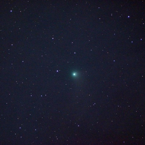 カタリナ彗星(都下／10cmED_F4)