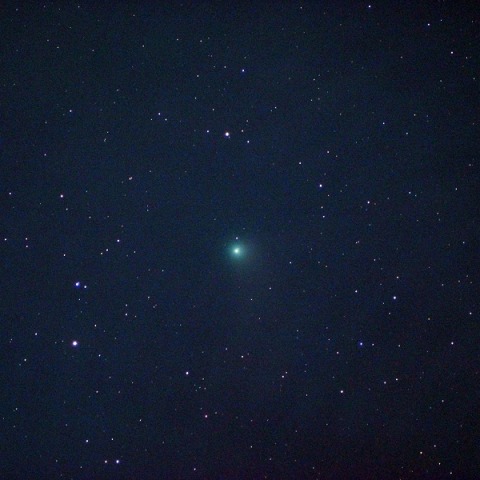 カタリナ彗星(都下／10cmED_F4)