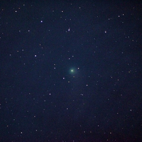 カタリナ彗星(都下／10cmED_F4)