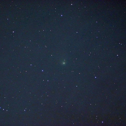 カタリナ彗星(都下／10cmED_F4)