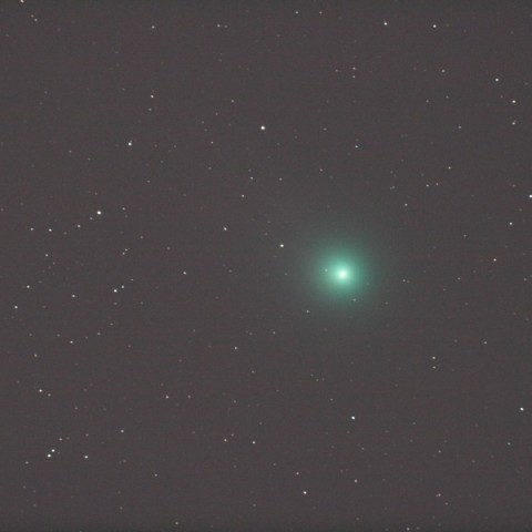 1/12 ラブジョイ彗星