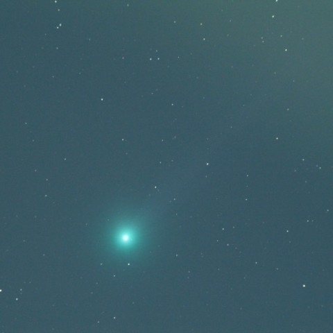 1/13 ラヴジョイ彗星（C/2014 Q2）