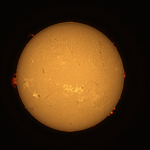 太陽面（Hα光）　2024/06/14