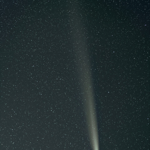 紫金山・アトラス彗星2024/10/20