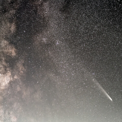 紫金山・アトラス彗星2024/10/25