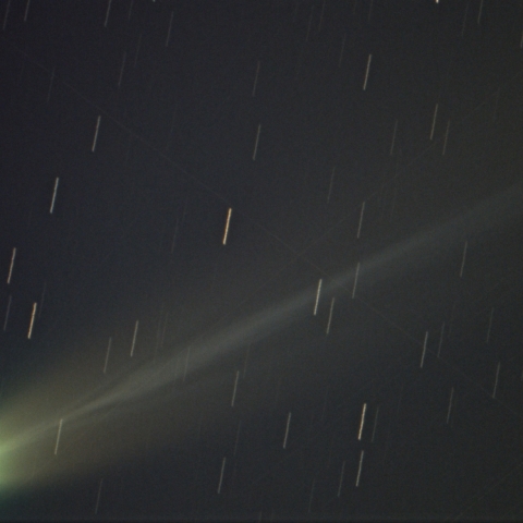 レモン彗星　C/2025A6