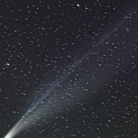レモン彗星 C/2025A6