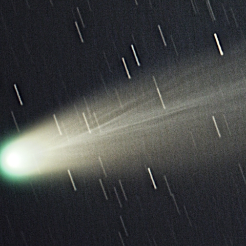 レモン彗星 C/2025A6 (頭部拡大)