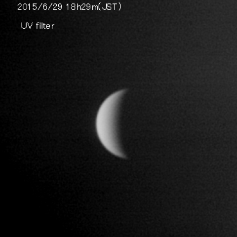 紫外光での金星