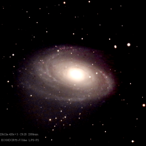 おおぐま座　M81星雲