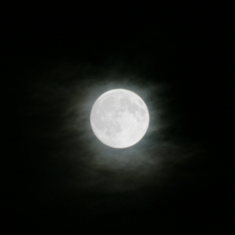 満月でコロナ？