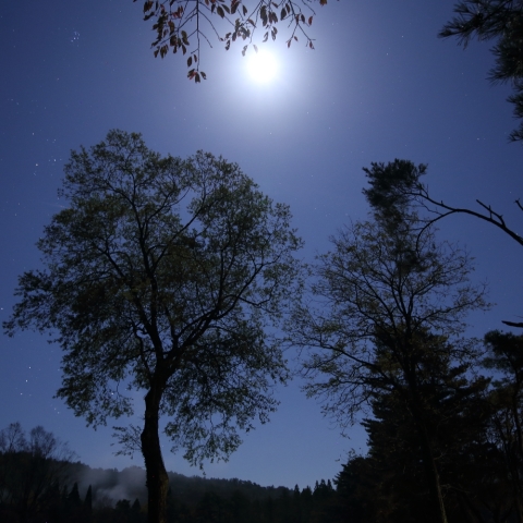 満月夜景