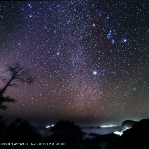 冬の天の川と黄道光
