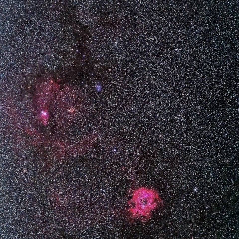 いっかくじゅう座　バラ星雲付近