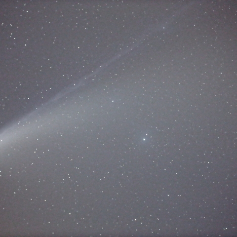 7月23日のC/2020F3（ネオワイズ彗星）