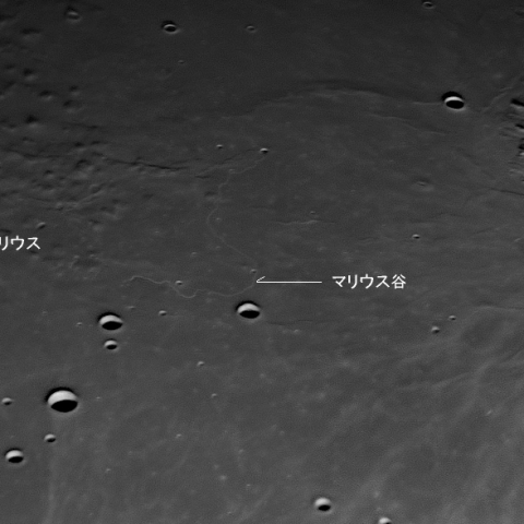 マリウス谷