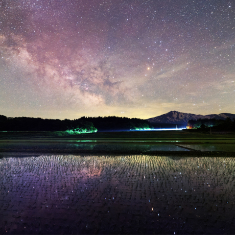 田んぼに映る星々