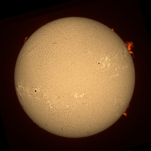 2022.4.28 太陽面(Hα光）