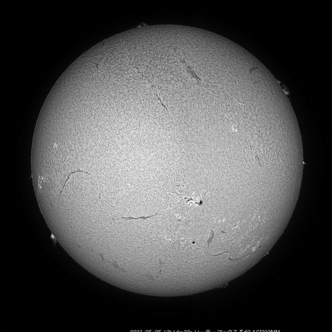 5月5日の太陽面（Hα光）