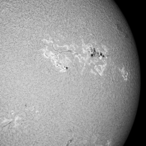 5月23日の太陽面（Hα光）