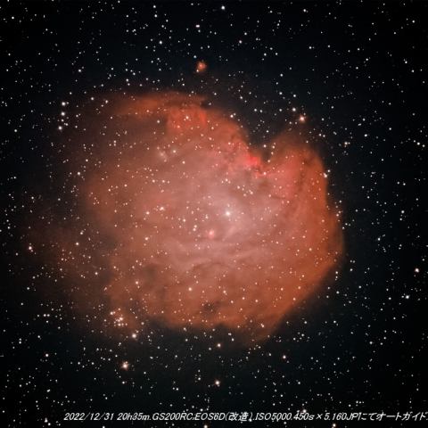 モンキーフェイス星雲