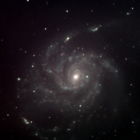 M101