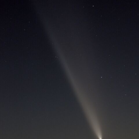 紫金山・アトラス彗星 