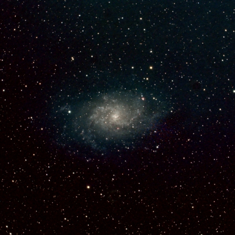 秋が来ました　M33