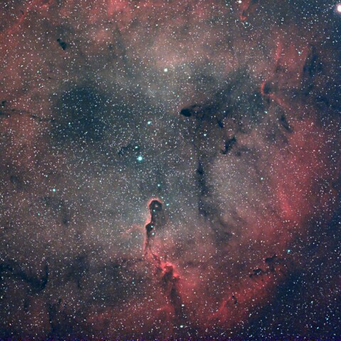 IC1396