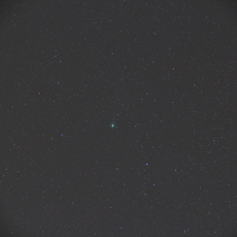 1月20日のラヴジョイ彗星（50mm)
