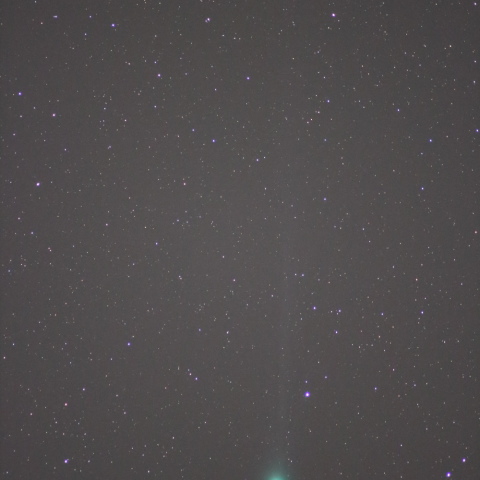 1月20日のラヴジョイ彗星(200mm)