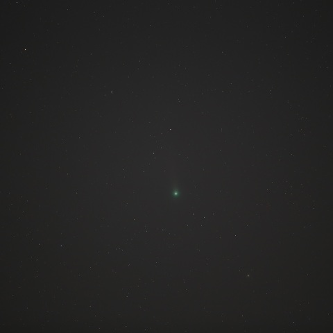 ラブジョイ彗星