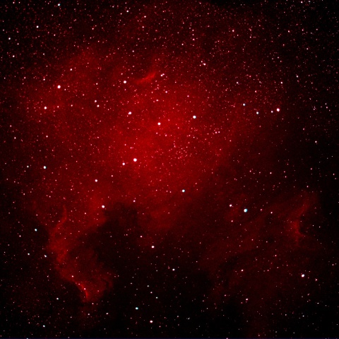 北アメリカ星雲とペリカン星雲　2024/5/15