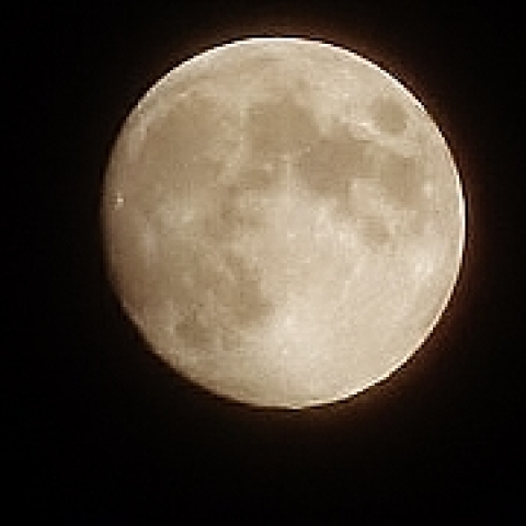 おぼろ月夜（１３夜）