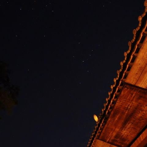 松と神楽殿の間から・・・