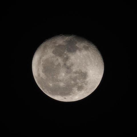 １/29（火）の月