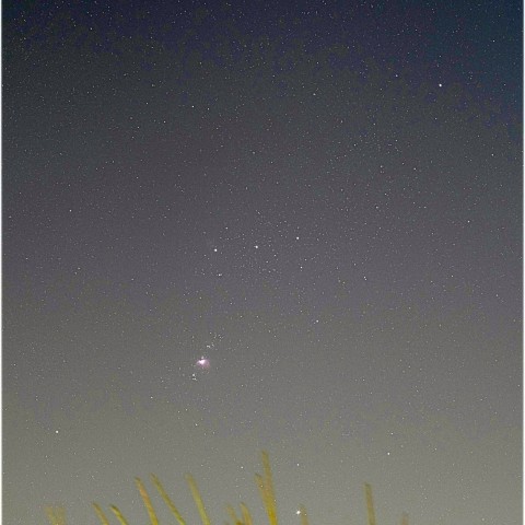 未明のオリオン座