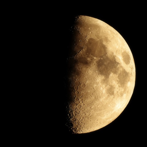 6/25木のお月さま