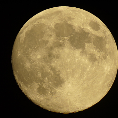 9/11(日）のお月さま