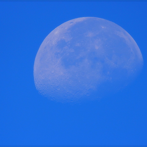 ８／７（火）の月