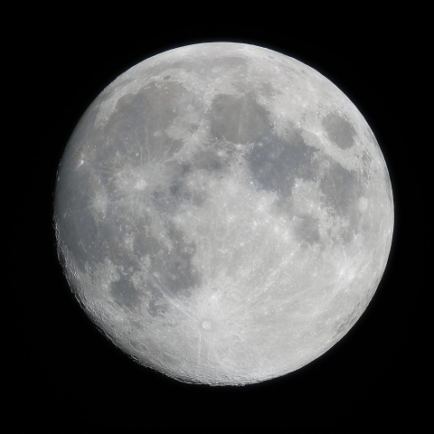 ８／３０（木）の月