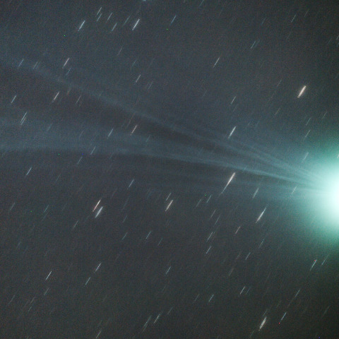 １月１２日のラブジョイ彗星