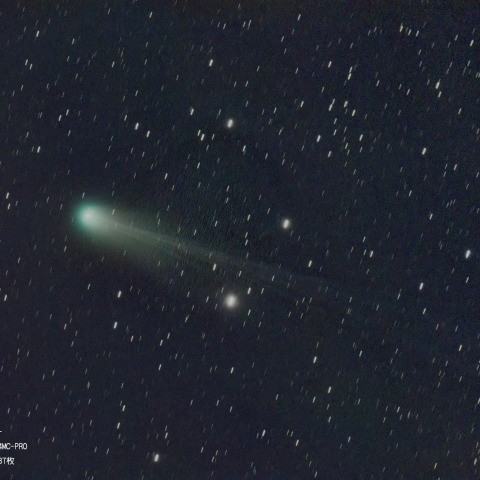 3月19日の12P　Pons-Brooks彗星