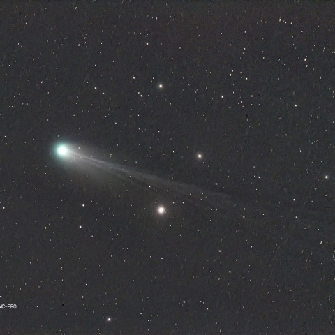 3月19日の12P　Pons-Brooks彗星