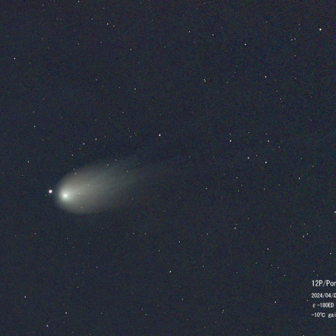 4月9日の12P　Pons-Brooks彗星